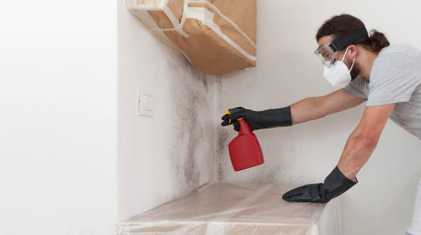 Professional Commercial Mold Remediation technician working in Hallandale, FL