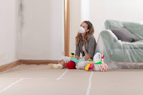 Reliable Commercial Mold Remediation contractor in Hallandale, FL by WQB Mold Removal